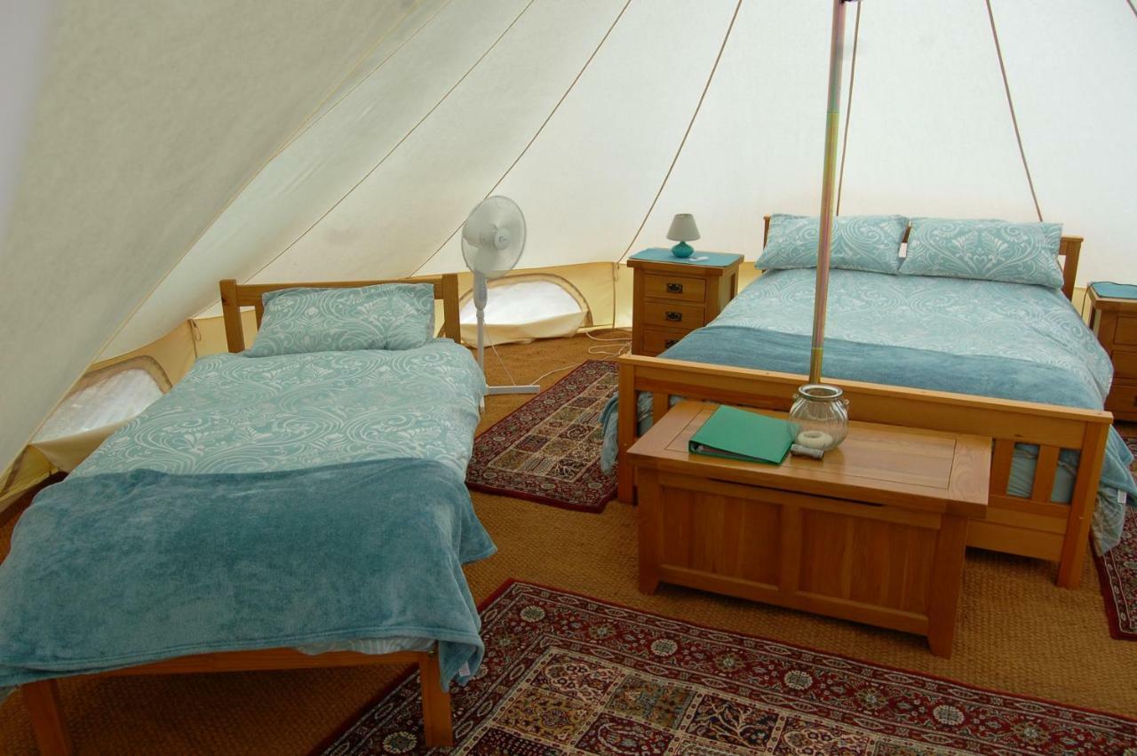 Camping La Foret De Tesse Eksteriør bilde